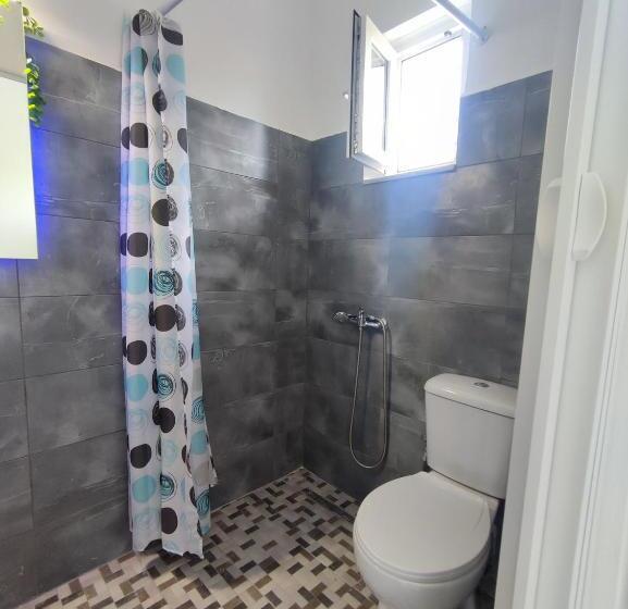 اتاق ساده سه‌ نفره, Karavaki Apartments