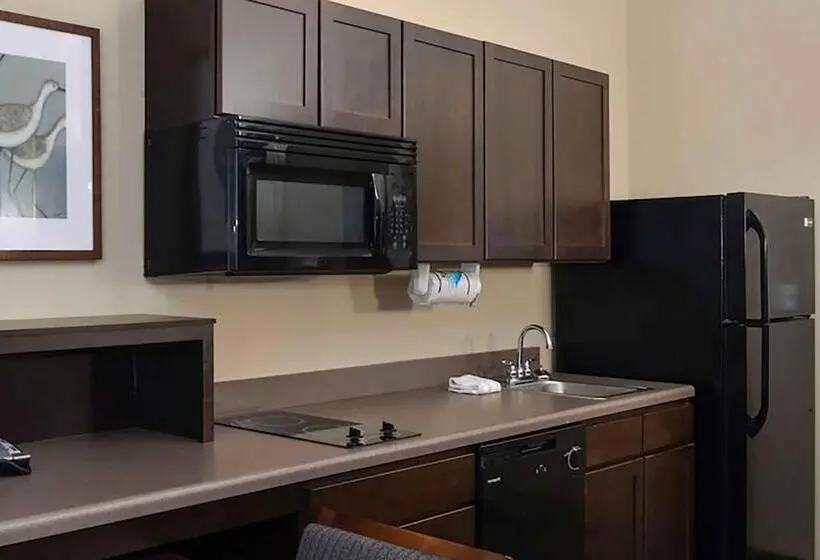 クイーンベッドのスタンダードスタジオ, Extended Stay America Suites   Donaldsonville   Gonzales