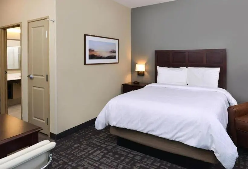 クイーンベッドのスタンダードスタジオ, Extended Stay America Suites   Donaldsonville   Gonzales