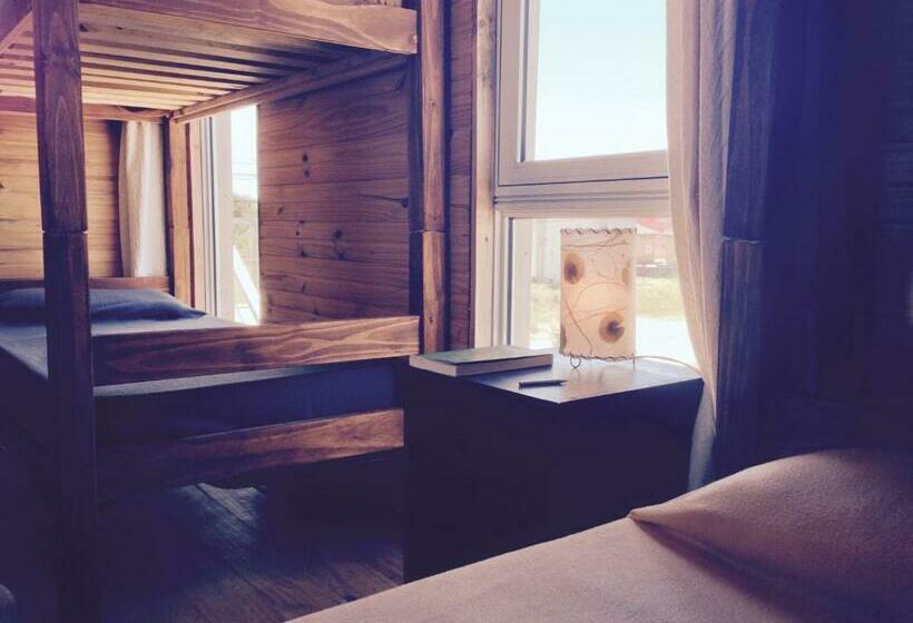 اتاق استاندارد چهار تخته, Hostel Vente Al Diablo