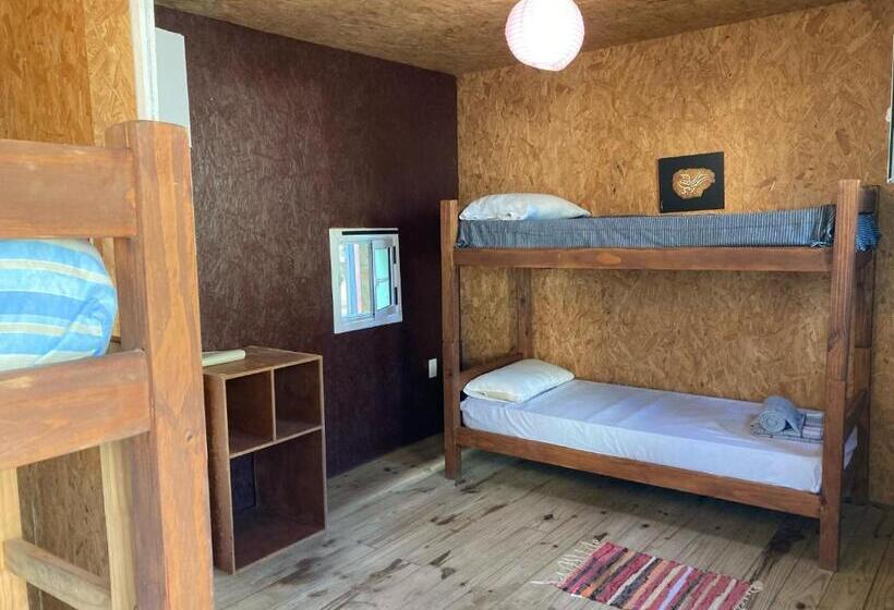 تختخواب در اتاق مشترک, Hostel Vente Al Diablo