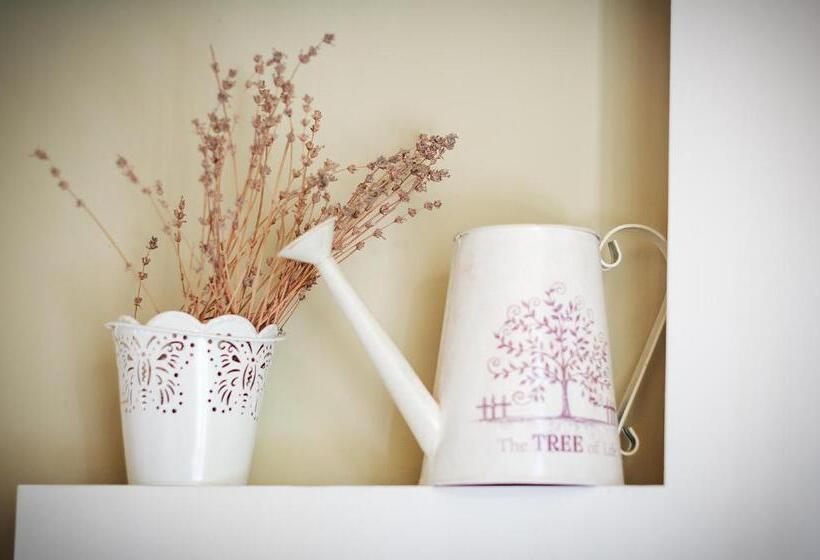 غرفة ديلوكس, Avto Spa