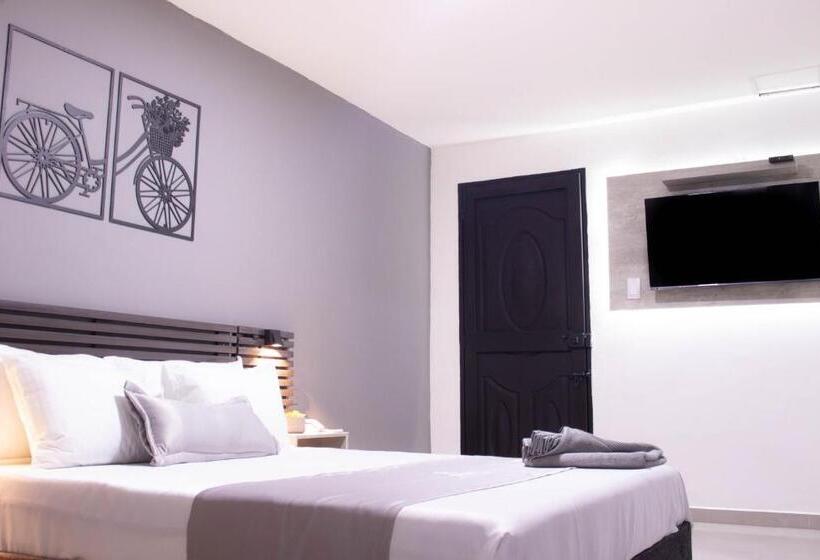 스탠다드 룸, Encanto