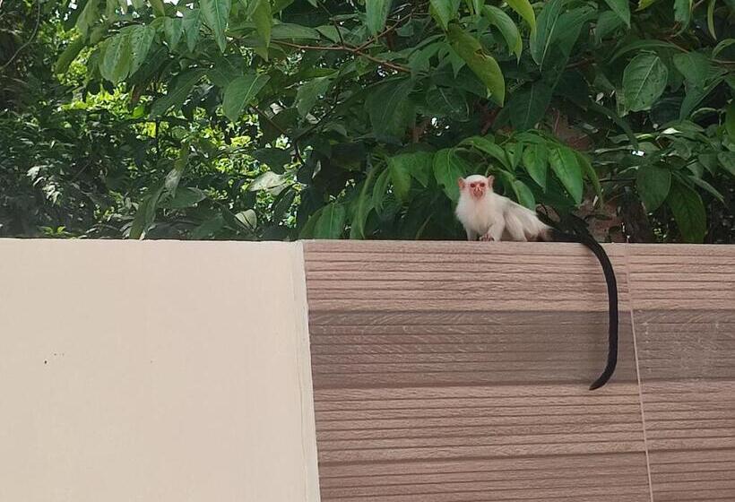 스탠다드 룸, Pousada Nosso Canto Alter