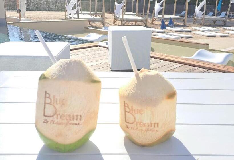 استودیوی استاندارد, Blue Dream Hamaca