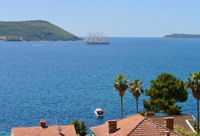 اتاق سوپریور با تخت بزرگ, Ancora