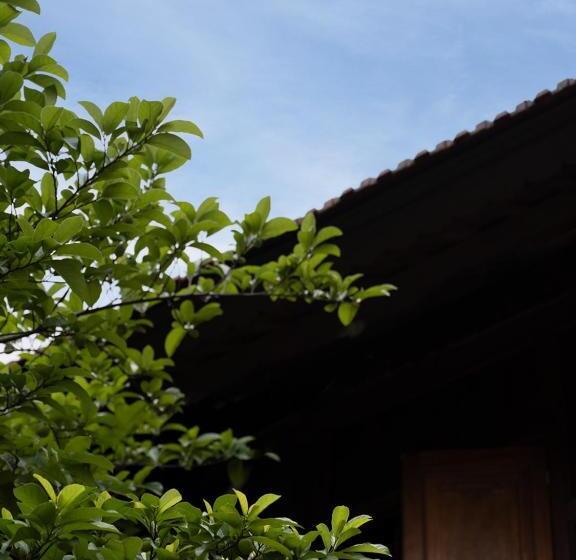 اتاق استاندارد چهار تخته, Woodyhouse Ninh Binh  Free Bbq Garden