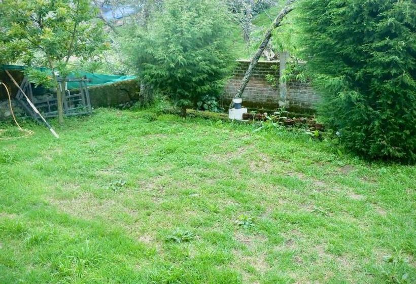 Suite Executive, Sri Vari̇ Studio Apartments