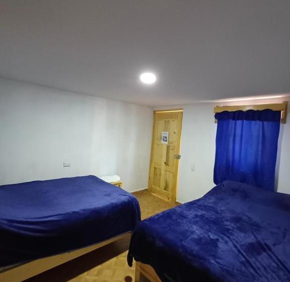 חדר סטנדרט, Riel