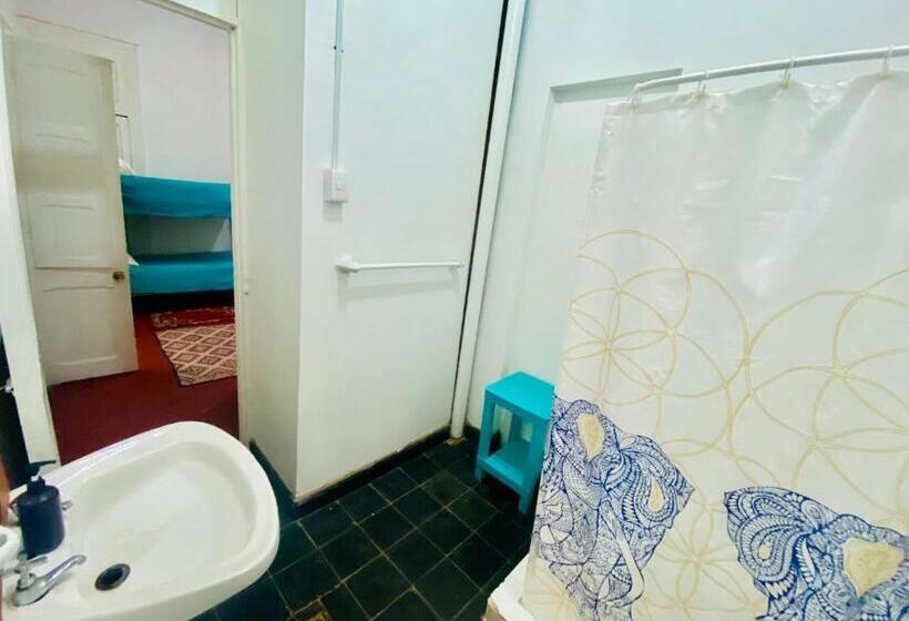 ファミリールーム, Dolegant