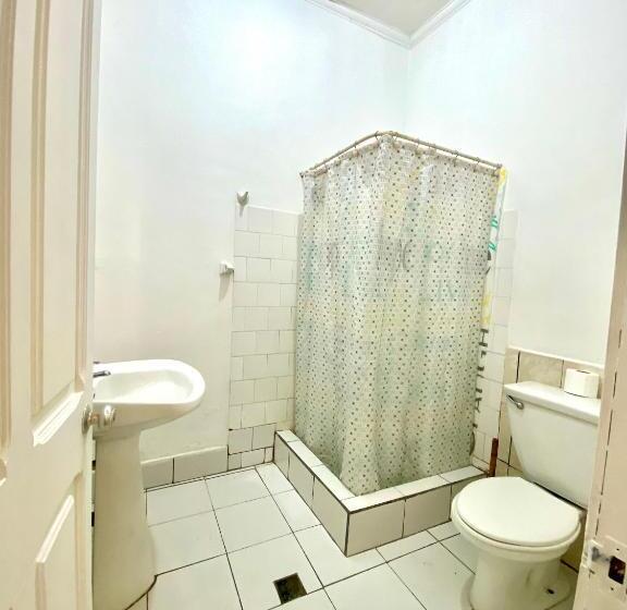 スタンダードトリプルルーム, Dolegant