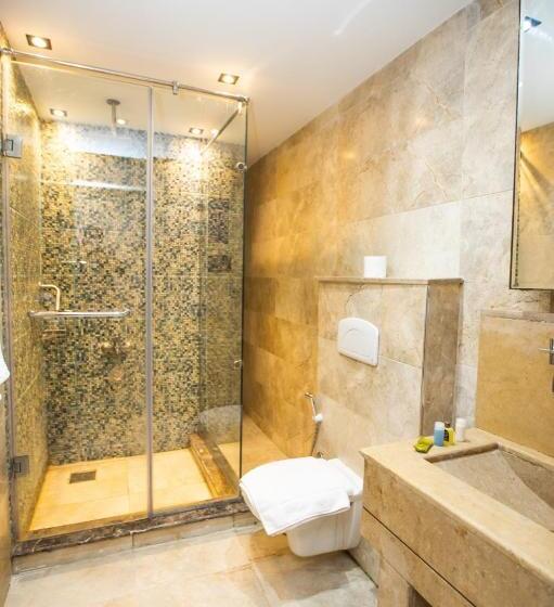 اتاق لوکس یک تخته, Comfort Inn Sphinx View