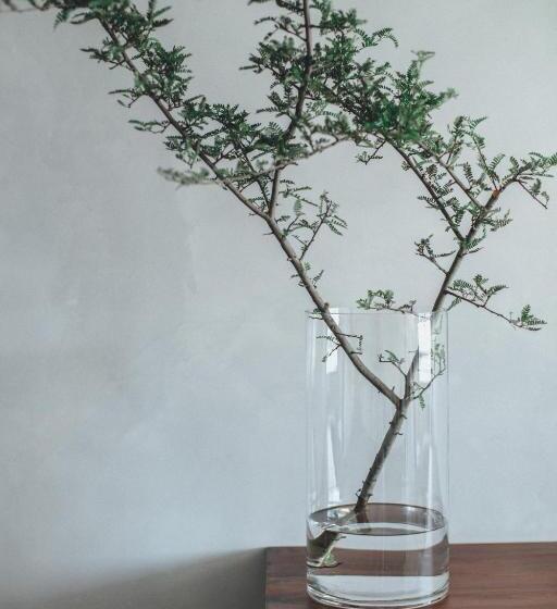 수피리어 테라스 룸, Dali Shuanglang Anqi Erhai Resort