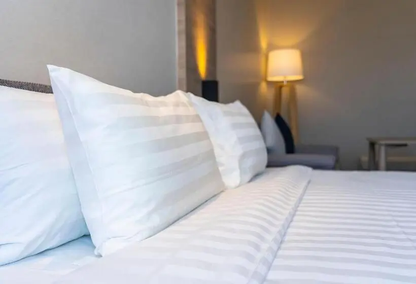 اتاق لوکس, Eurostars Casa Anfa