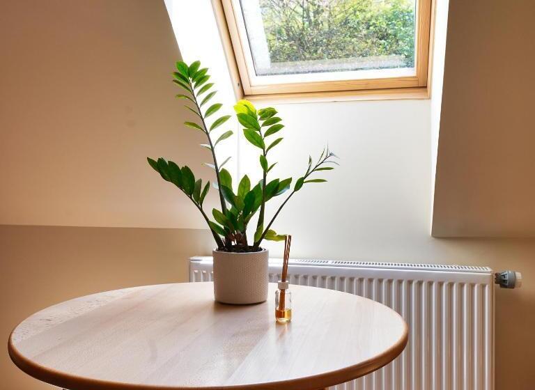 اتاق استاندارد یک نفره, Vila Sofia