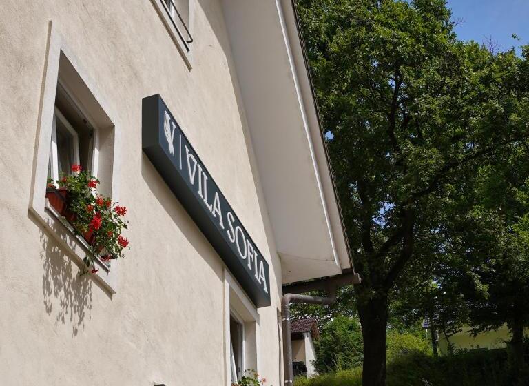 اتاق استاندارد یک نفره, Vila Sofia