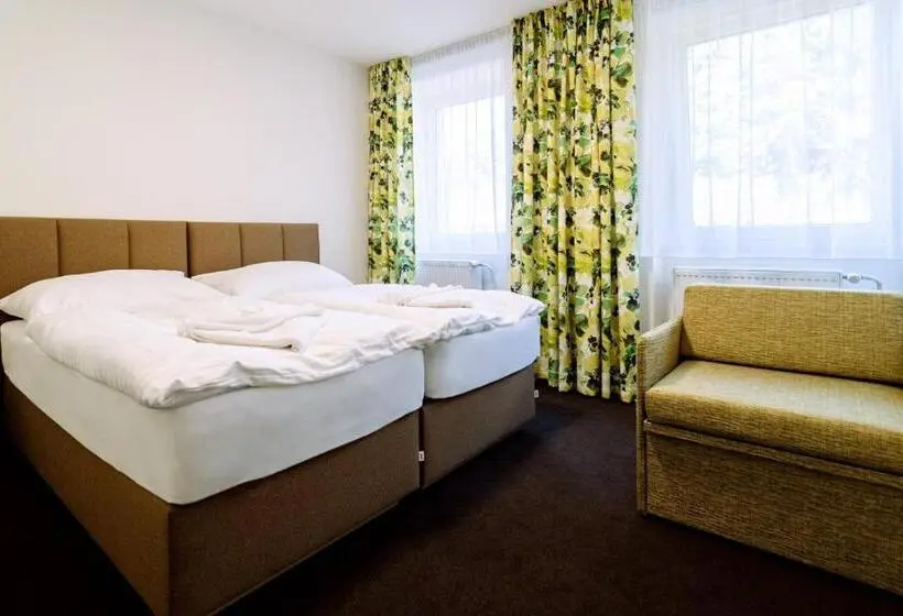 身障者適用キングサイズベッドルーム, Retro Hotel Jiskra