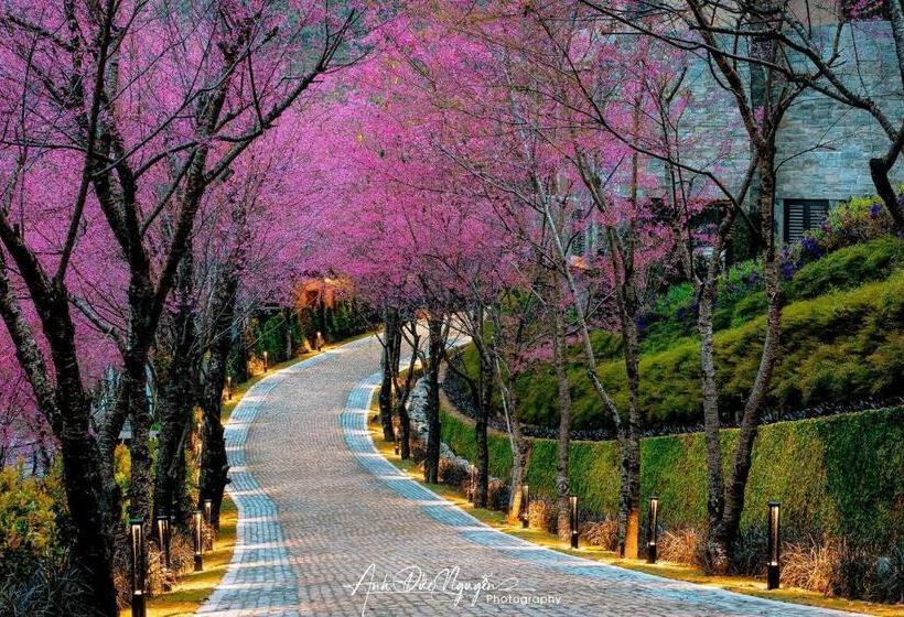 Номер Deluxe, Garrya Mù Cang Chải