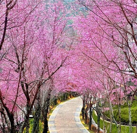 Номер Deluxe, Garrya Mù Cang Chải