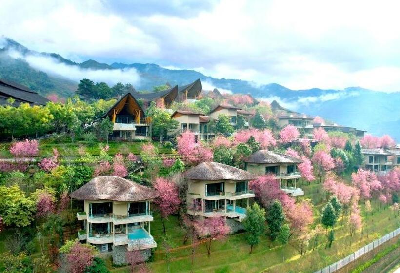 Люкс, Garrya Mù Cang Chải