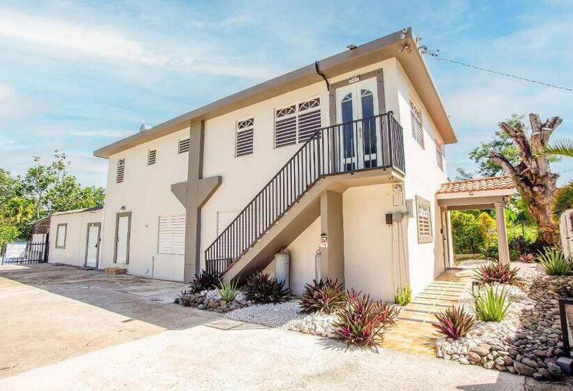 آپارتمان 1 خوابه, Ecomar Rentals