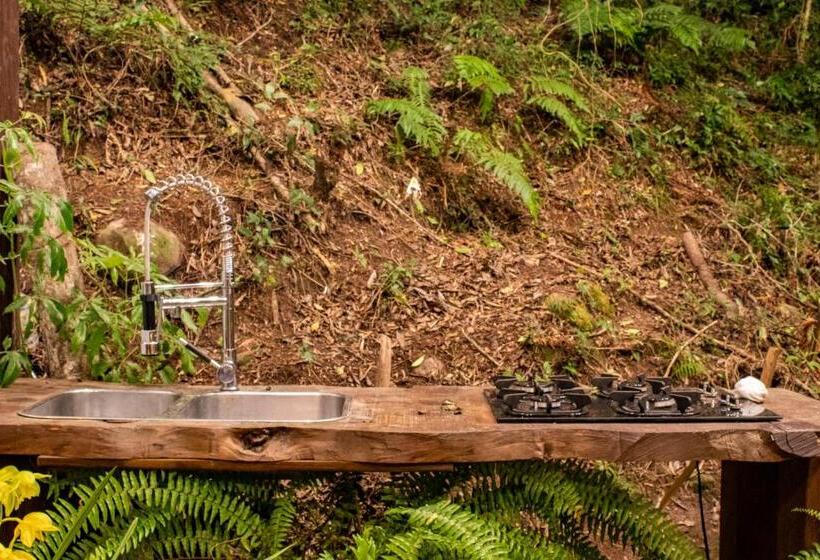 اتاق لوکس, Temporada Jardim Do Buda Sem Café