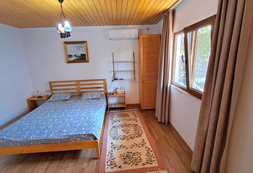 Номер Стандарт, Briza Marii