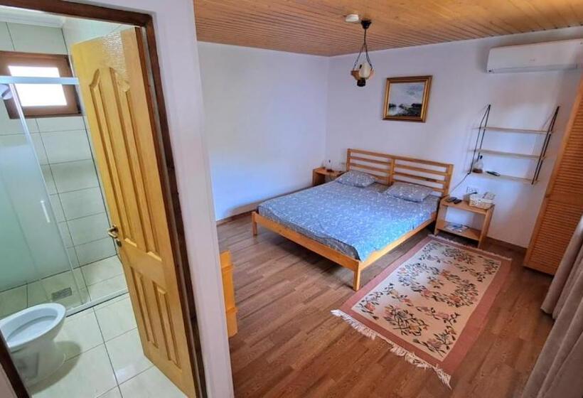 Номер Стандарт, Briza Marii