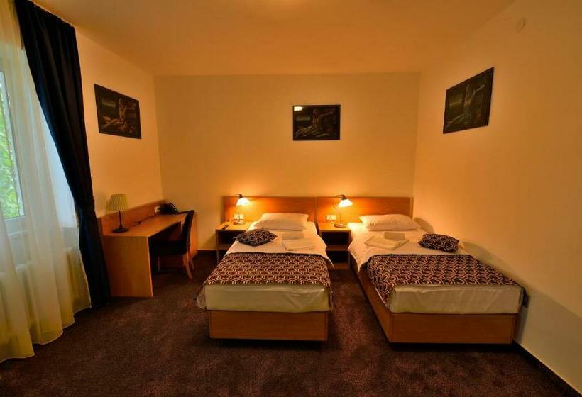 اتاق استاندارد یک نفره, Orient