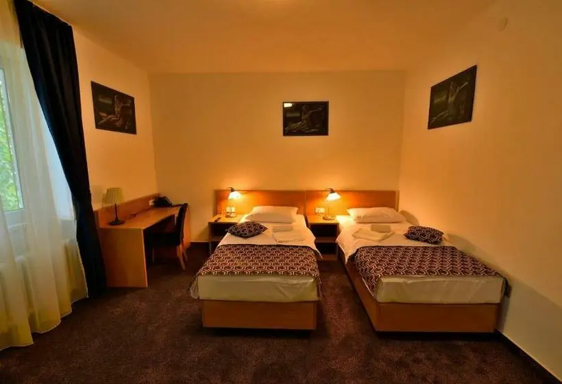 اتاق استاندارد یک نفره, Orient