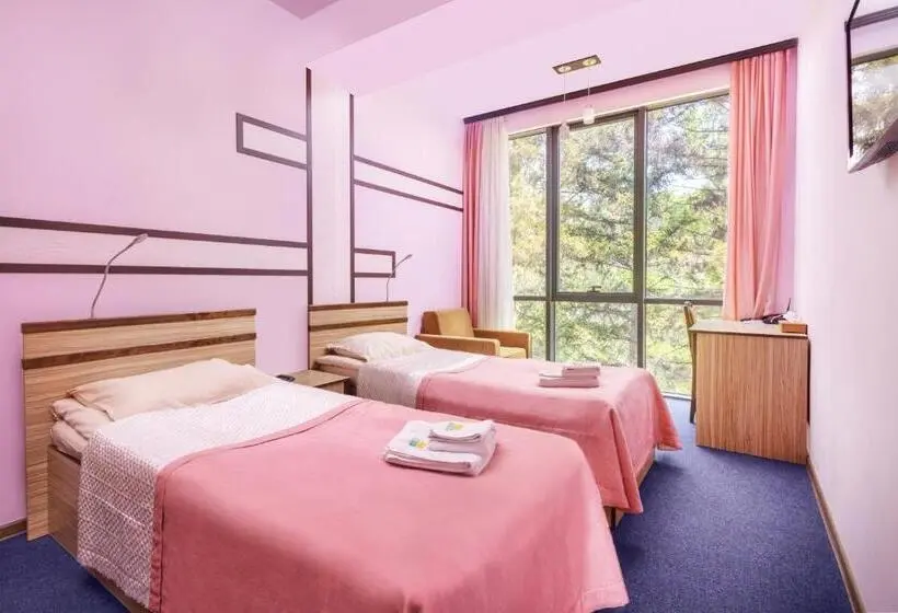 ルームシェアのワンベッド, Arzni Health Resort