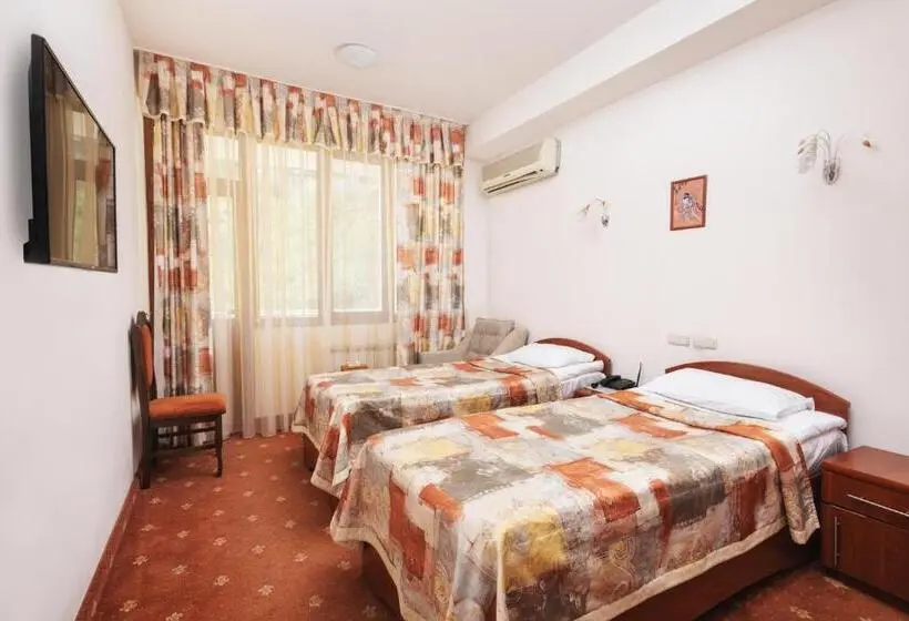 ルームシェアのワンベッド, Arzni Health Resort