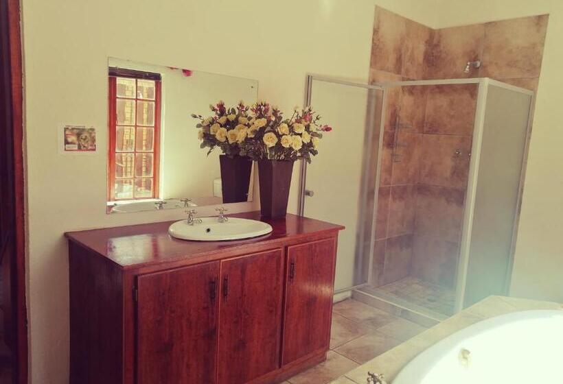 エコノミーシングルルーム, Kuruman Inn