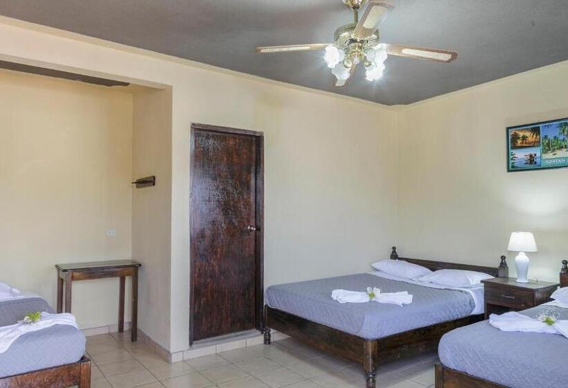 اتاق خانوادگی, Berakah B&b  Central Park