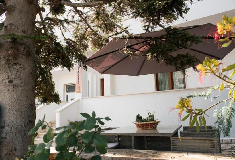 Номер Стандарт, B&b Cenzina