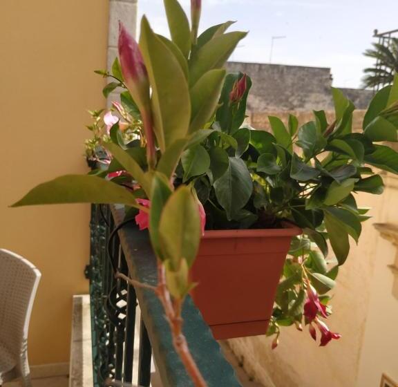 Апартаменты Deluxe 1 Спальня, Il Vicoletto