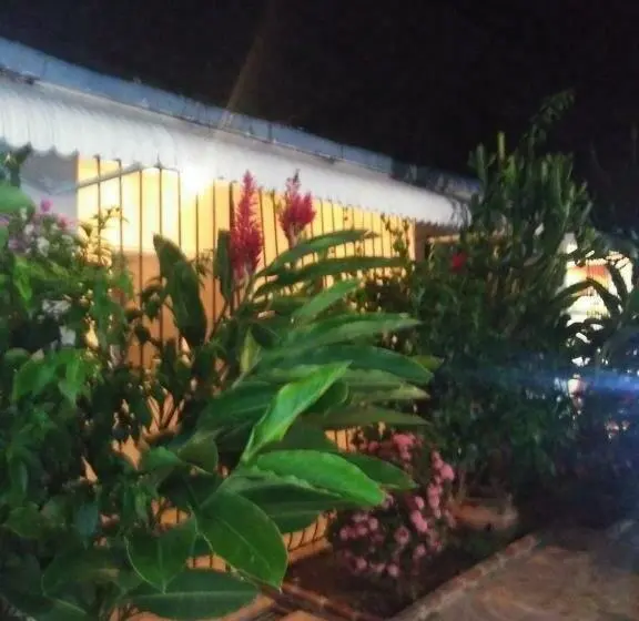 اتاق استاندارد, El Tronco Inc