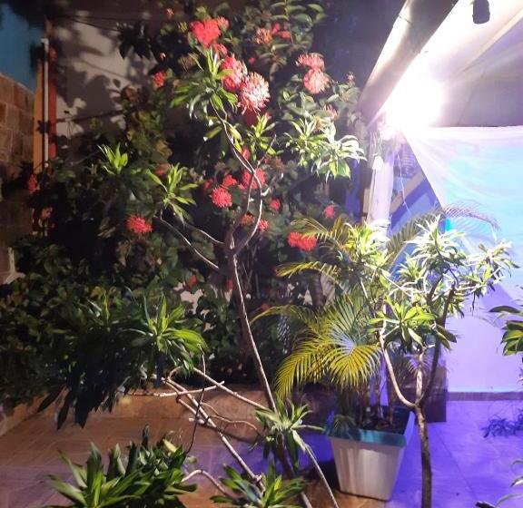 豪华房间, El Tronco Inc