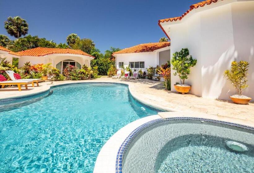 Бунгало Superior, El Encuentro Surf Lodge