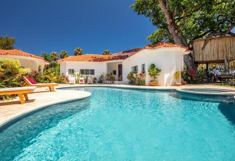 ‫فيلا غرفة نوم واحدة, El Encuentro Surf Lodge