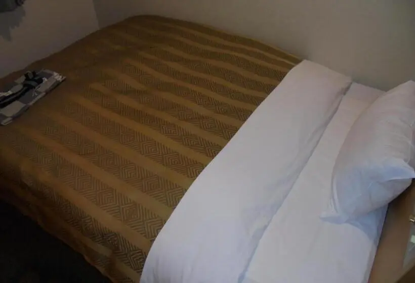 スタンダードシングルルーム, Spa & Sauna Hotel Hitachi Plaza