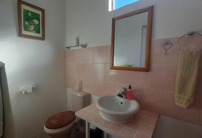 标准房带园景, Au Plais De Langebaan At Palm Tree Villa