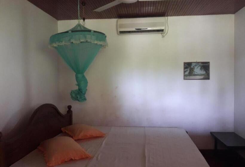 デラックスルーム, Tk Green Garden