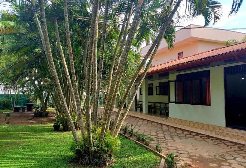 エコノミールーム, Tk Green Garden