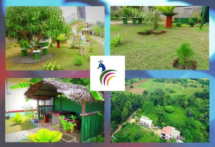 エコノミールーム, New Peacock Resort