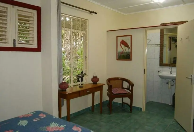 اتاق استاندارد, B&b Villa Zomerland