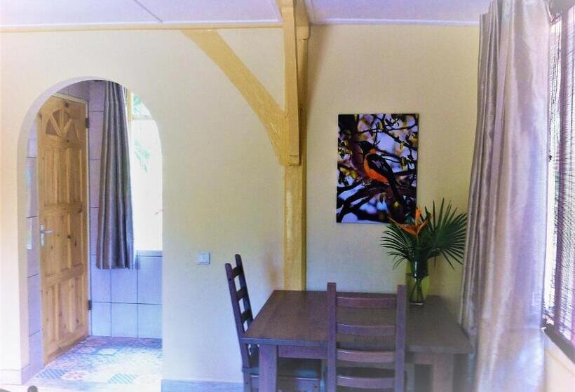 استودیو استاندارد با چشم‌انداز استخر, B&b Villa Zomerland