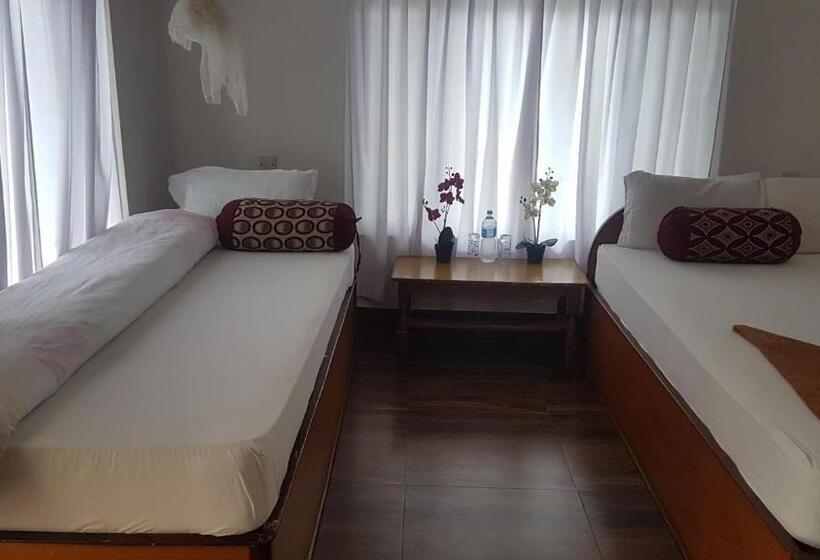 اتاق استاندارد, Shiva's Dream