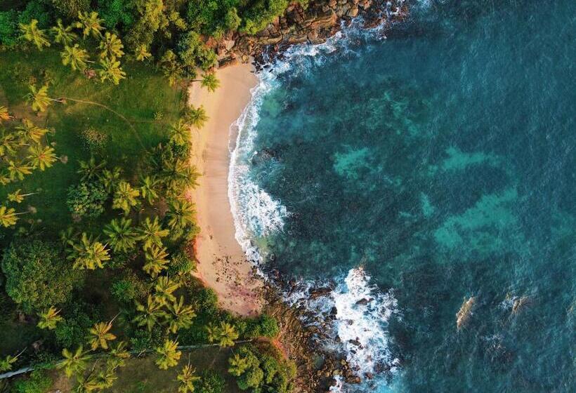 小型套房, Little Tamarind