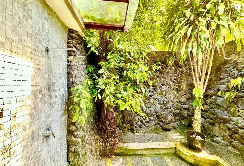 Villa 2 Camere da Letto, Dupa Ubud Villa